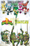 MMPR TMNT III (2025) #1 CVR N FOC REVEAL SHALVEY VAR