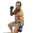 UFC POSED CONOR MCGREGOR FIGURE AF CHASE