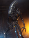 ALIENS 40TH ANNIVERSARY BIG CHAP 1/4 SCALE AF