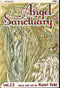 ANGEL SANCTUARY VOL 13 GN