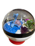 POKEMON TERRARIUM 10CM LAPRAS