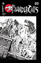 THUNDERCATS (2024) #16 CVR T INC 1:20 TMNT HOMAGE KEN HAESER LINE ART VAR