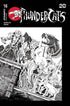 THUNDERCATS (2024) #16 CVR T INC 1:20 TMNT HOMAGE KEN HAESER LINE ART VAR