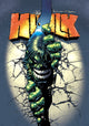 INCREDIBLE HULK RETURN OF THE MONSTER OMNIBUS HC DIRECT MARKET VAR