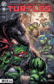 TEENAGE MUTANT NINJA TURTLES (2024) #15 CVR A WILLIAMS II