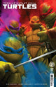 TEENAGE MUTANT NINJA TURTLES (2024) #17 CVR C SPEARS