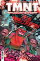TEENAGE MUTANT NINJA TURTLES JOURNEYS (2025) #13 CVR B WACHTER