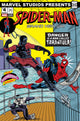 PUNISHER VS SPIDER-MAN (2026) #2 ADAM STAFFORD SPIDER-MAN BRAND NEW DAY MARVEL STUDIOS VAR
