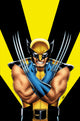 RETURN OF WOLVERINE OMNIBUS HC