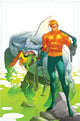AQUAMAN (2025) #14 CVR C OZGUR YILDIRIM CARD STOCK VAR (DC K.O.)