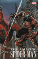 AMAZING SPIDER-MAN (2025) #24 LEE BERMEJO AMAZING VISIONS VAR [DS]