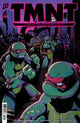 TEENAGE MUTANT NINJA TURTLES JOURNEYS (2025) #6 CVR B DUNCAN