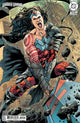 ABSOLUTE WONDER WOMAN (2024) #25 CVR D BRYAN HITCH CONNECTING CARD STOCK VAR