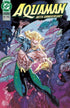 AQUAMAN 80TH ANNIVERSARY 100-PAGE SUPER SPECTACULAR #1 (ONE SHOT) CVR G YVEL GUICHET 1990S VAR - Kings Comics