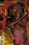BLACK ORCHID #22 - Kings Comics