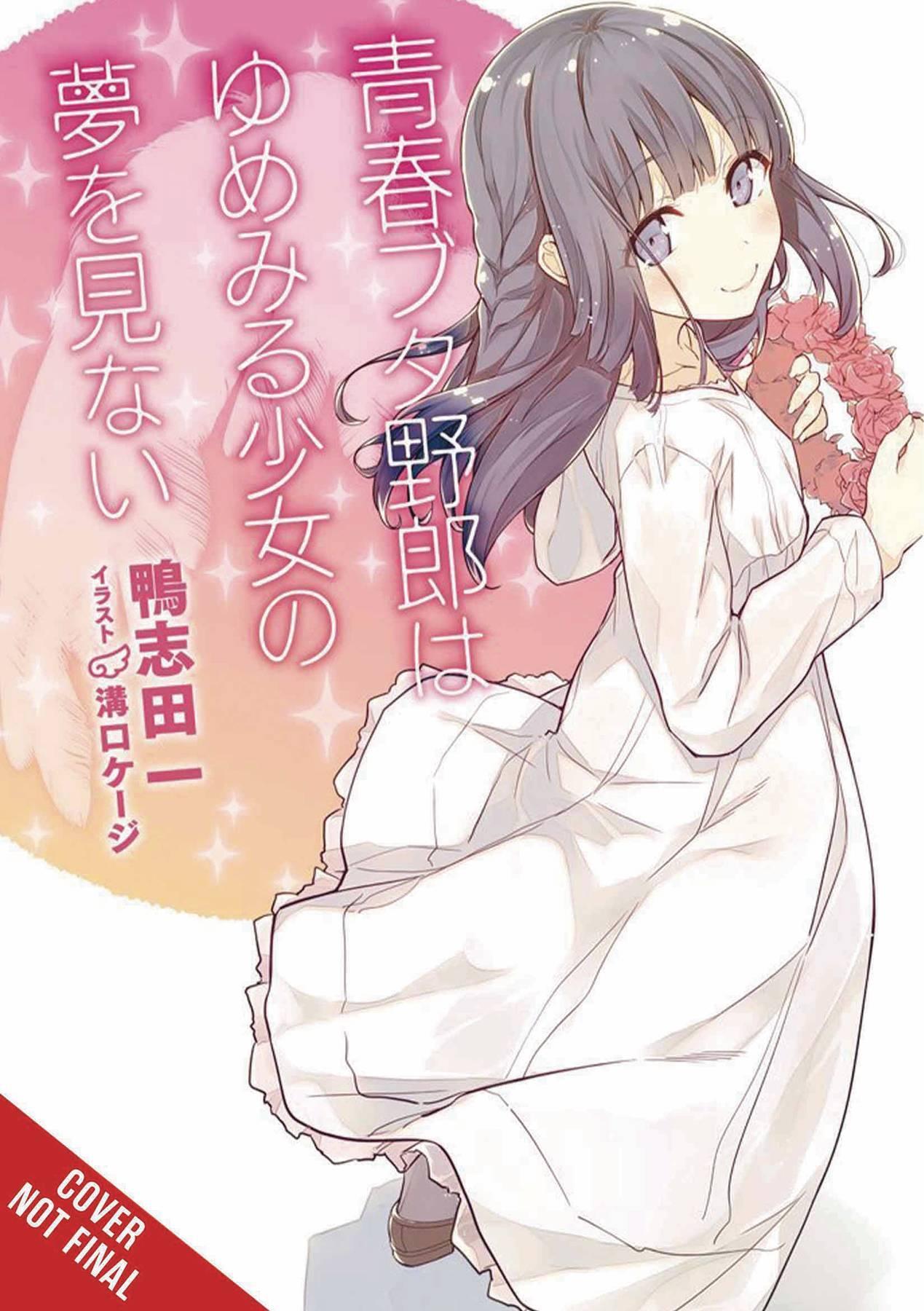 RASCAL DOES NOT DREAM OF DREAMING GIRL LIGHT NOVEL SC - Kings Comics