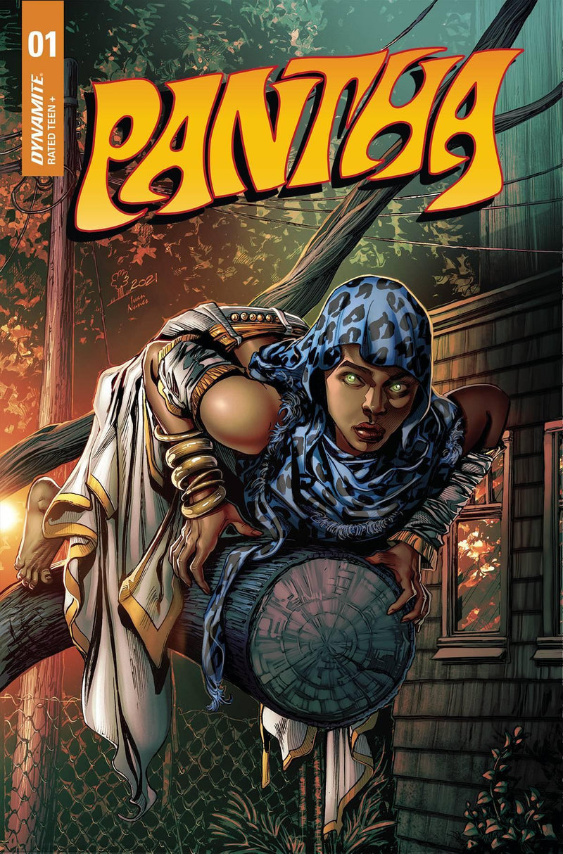 PANTHA VOL 3 #1 CVR E PIANTA