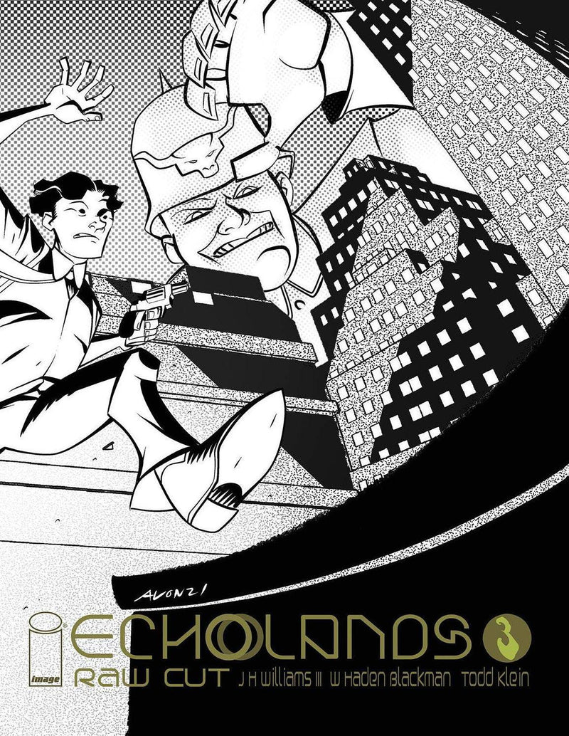 ECHOLANDS RAW CUT ED #3 CVR B OEMING & SOMA