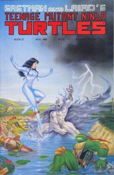 TEENAGE MUTANT NINJA TURTLES (1984) #27 (VF) - Kings Comics