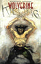WOLVERINE KILLING (1993) #1 (ONE SHOT) - Kings Comics