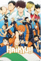 HAIKYU! KARASUNO TEAM POSTER - Kings Comics