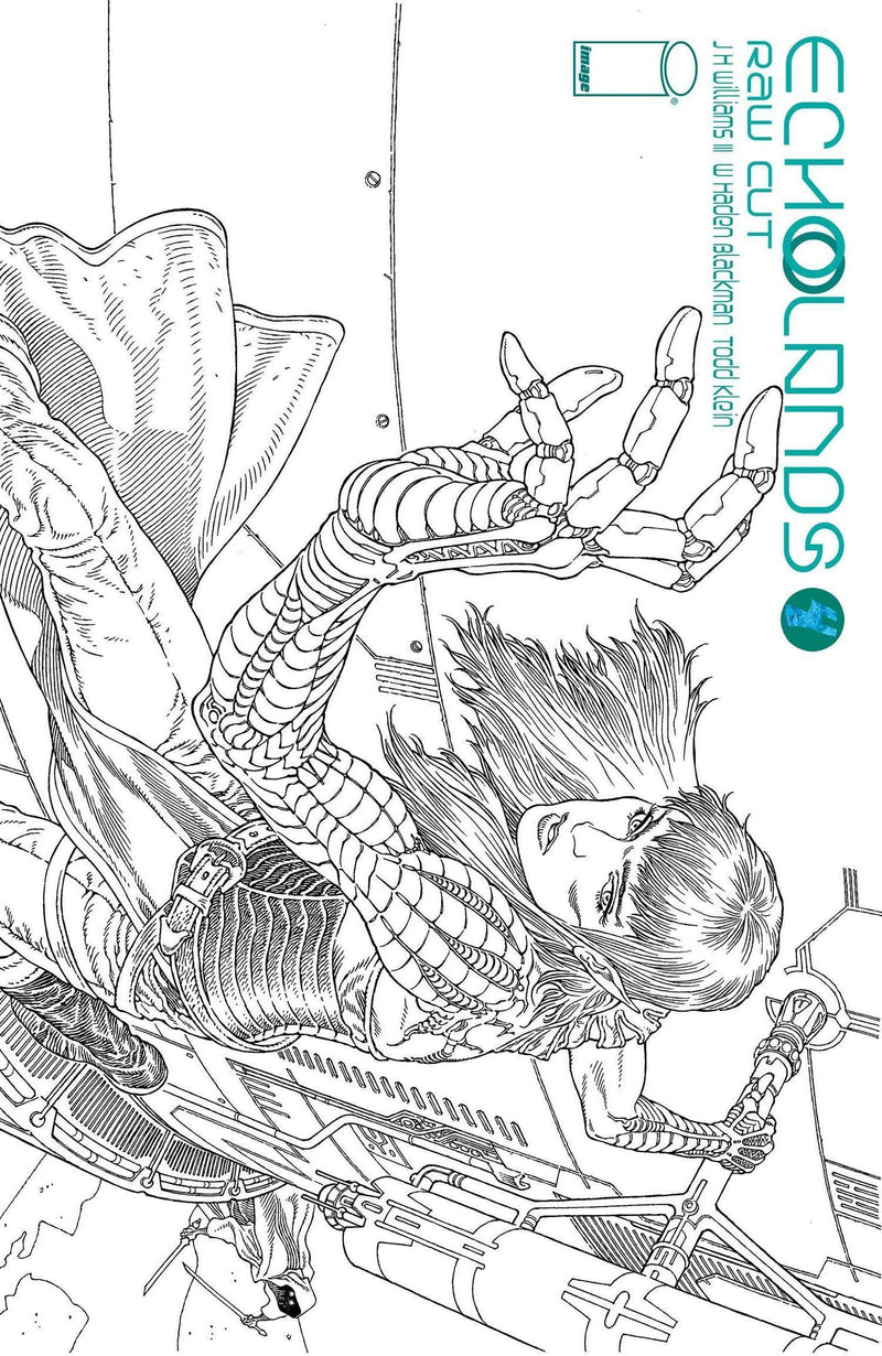 ECHOLANDS RAW CUT ED #4 CVR B RODRIGUEZ