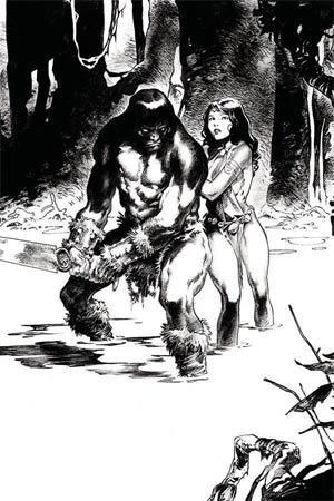 CIMMERIAN IRON SHADOWS IN MOON #3 CVR B AUGUSTIN - Kings Comics
