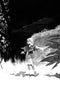 KROMA BY DE FELICI #3 CVR C 10 COPY INCV BERGARA - Kings Comics