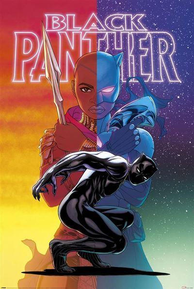 BLACK PANTHER WAKANDA FOREVER - COLOUR SPLIT POSTER - Kings Comics
