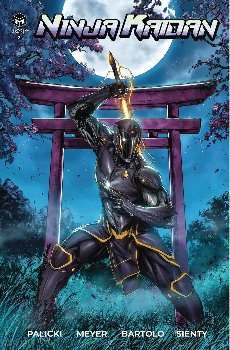 NINJA KAIDAN #2 CVR B GAY