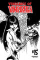 VENGEANCE OF VAMPIRELLA VOL 2 #15 11 COPY CASTRO B&W FOC INCV