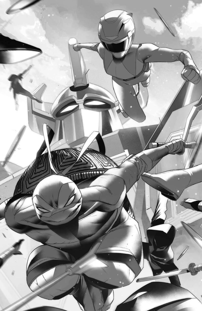 MMPR TMNT II (2022) #1 CVR M 50 COPY INCV DI MEO