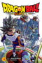 DRAGON BALL SUPER GN VOL 14 - Kings Comics