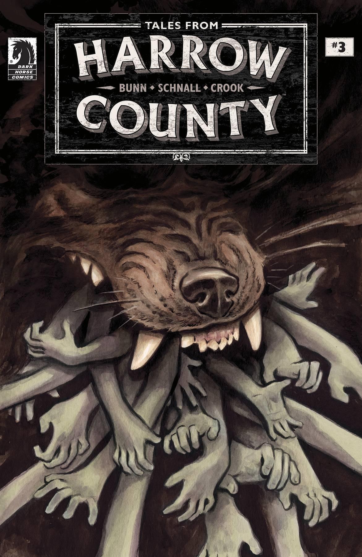 TALES FROM HARROW COUNTY LOST ONES #3 CVR A SCHNALL - Kings Comics