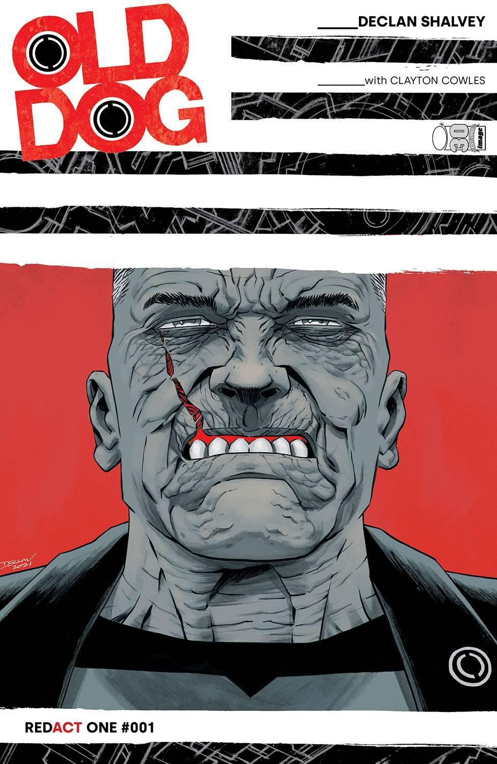 OLD DOG (2022) #1 CVR A SHALVEY - Kings Comics