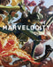 MARVELOCITY MARVEL ART ALEX ROSS HC ROSS EXC - Kings Comics