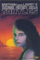 TEENAGE MUTANT NINJA TURTLES (1984) #28 (FN/VF)