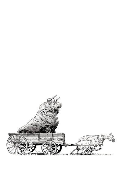 ANIMAL CASTLE #2 CVR E 30 COPY DELEP B&W SILVIO BULL