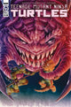 TEENAGE MUTANT NINJA TURTLES (2011) #134 CVR A FERO PE