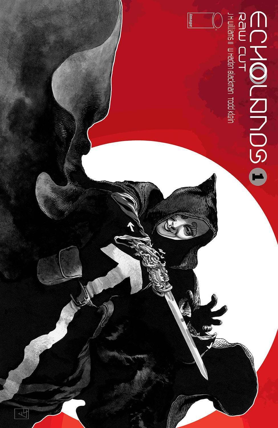 ECHOLANDS RAW CUT ED #1 CVR B WILLIAMS III - Kings Comics