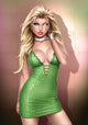 ROBYN HOOD (2013) #100 (LEGACY) CVR E KEITH GARVEY