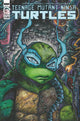 TEENAGE MUTANT NINJA TURTLES (2011) #129 CVR B EASTMAN