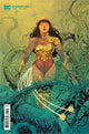 WONDER GIRL VOL 2 #1 CVR B BILQUIS EVELY CARD STOCK VAR
