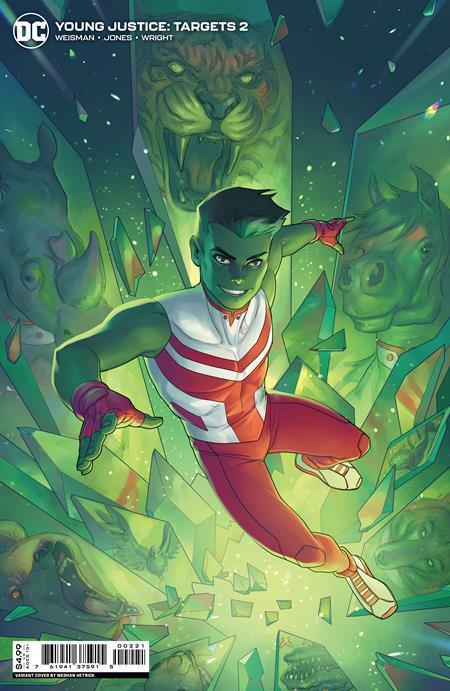 YOUNG JUSTICE TARGETS #2 CVR B MEGHAN HETRICK CARD STOCK VAR