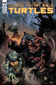TEENAGE MUTANT NINJA TURTLES (2011) #130 CVR B EASTMAN