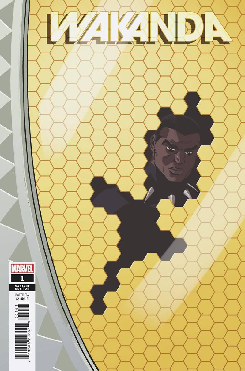 WAKANDA (2022) #1 REILLY WINDOWSHADES VAR