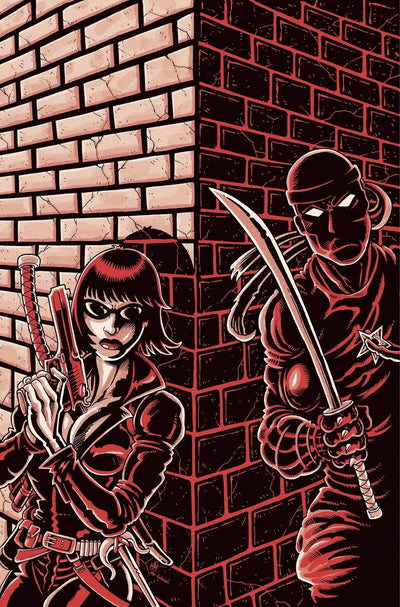 JENNIFER BLOOD VOL 2 #5 CVR P 11 COPY FOC INCV TMNT HOMAGE HAESER