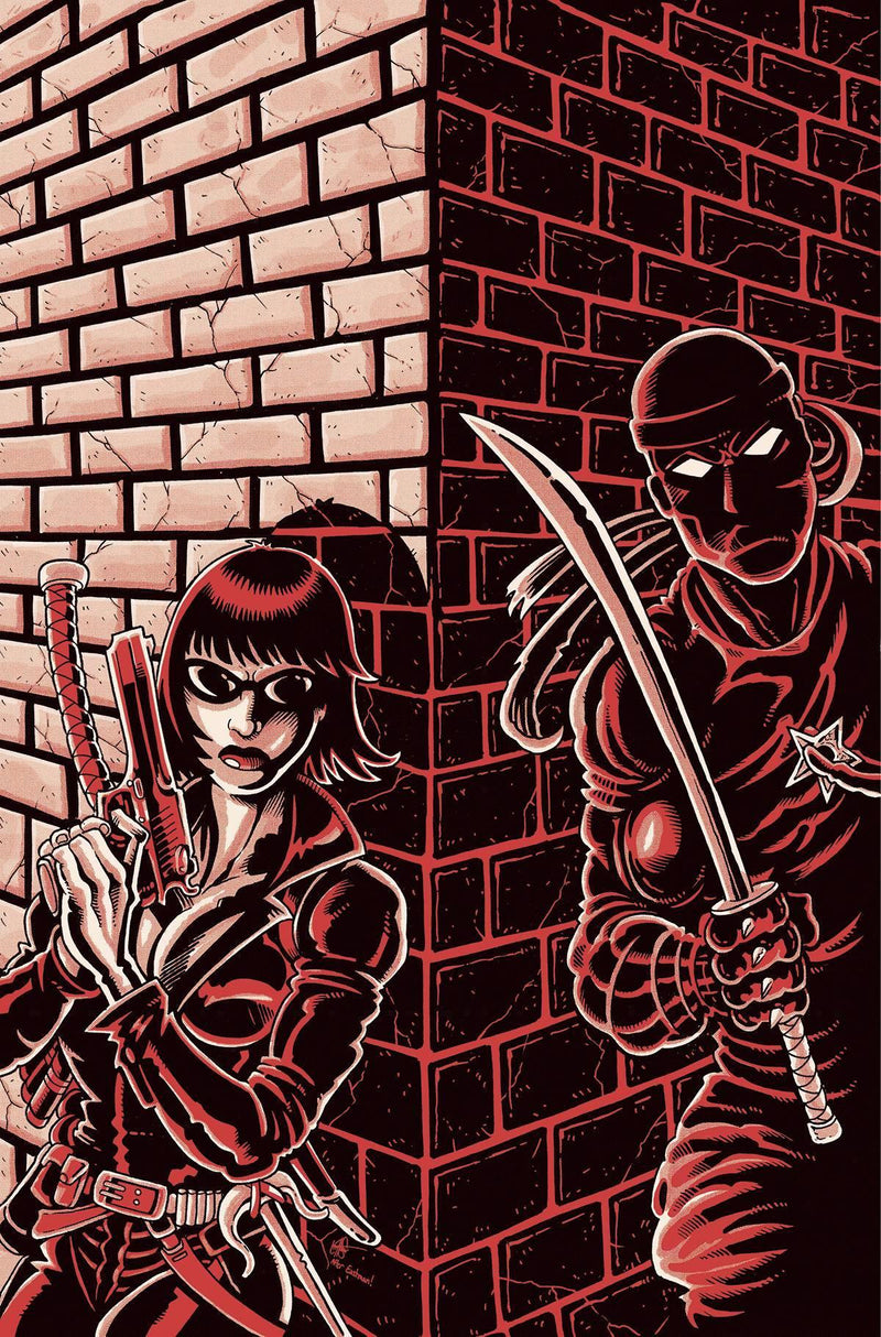 JENNIFER BLOOD VOL 2 #5 CVR P 11 COPY FOC INCV TMNT HOMAGE HAESER