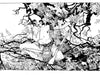 PAUL POPE  SIGNED LIBERTY TREE CBLDF LIMITED EDITION FINE ART PRINT