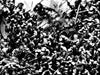 LAST BARBARIANS (2023) #5 CVR F HABERLIN